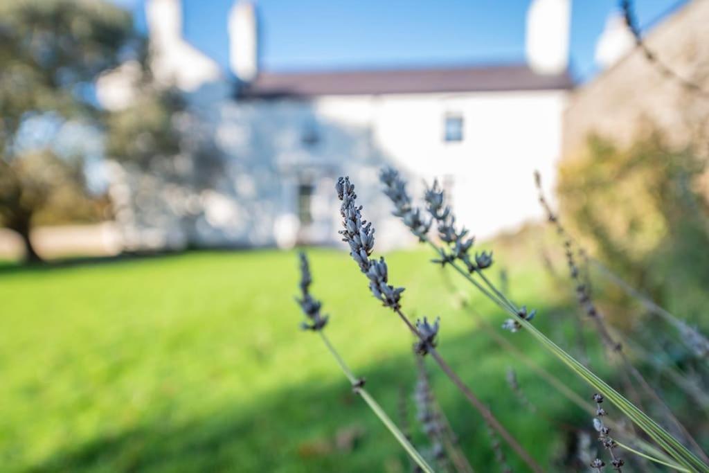 Georgian Country House -Panoramic Views -Sleeps 12 Рітін Екстер'єр фото